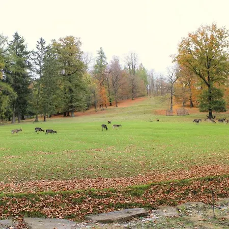 Egge - Zentral In Klinik-&kurparknaehe * Bad Driburg