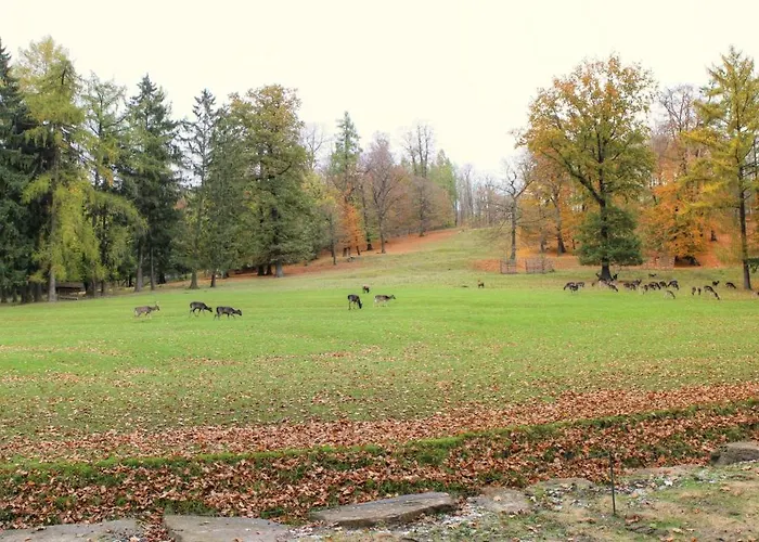 Egge - Zentral In Klinik-&kurparknaehe * バート・ドリーブルク