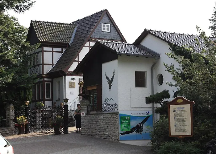 Egge - Zentral In Klinik-&kurparknaehe Bad Driburg